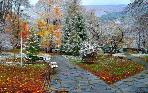 1535554 (a): :1920x1200